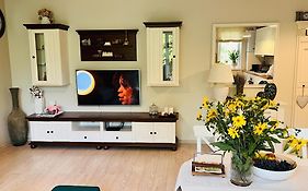 Mvs Apartment